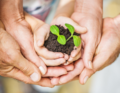 as-for-our-policy-change-of-housekeeping