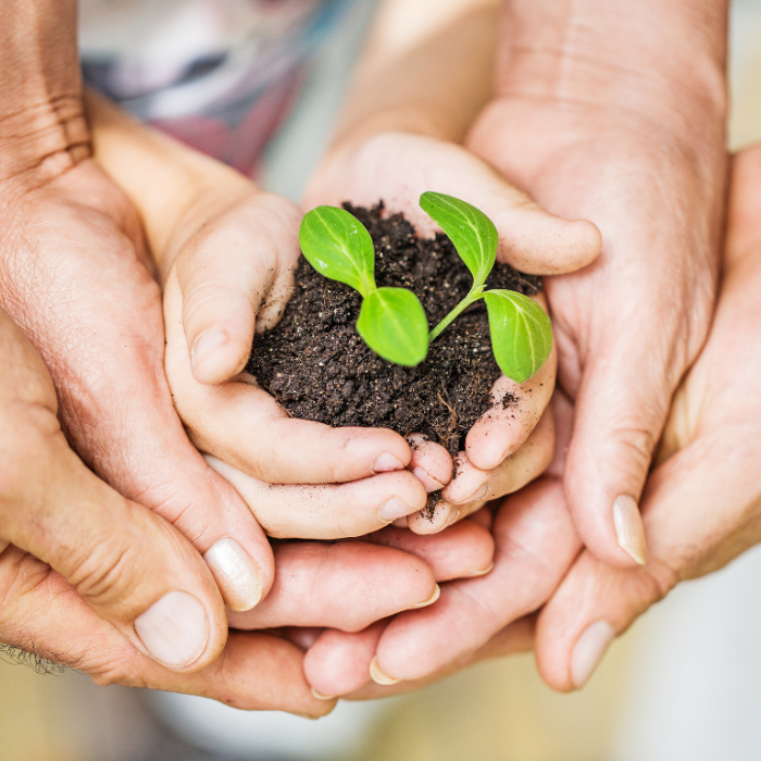 %e5%ae%a2%e5%ae%a4%e3%81%ae%e6%b8%85%e6%8e%83%e3%81%ab%e9%96%a2%e3%81%99%e3%82%8b%e5%a4%89%e6%9b%b4%e4%ba%8b%e9%a0%85%e3%81%ab%e3%81%a4%e3%81%84%e3%81%a6