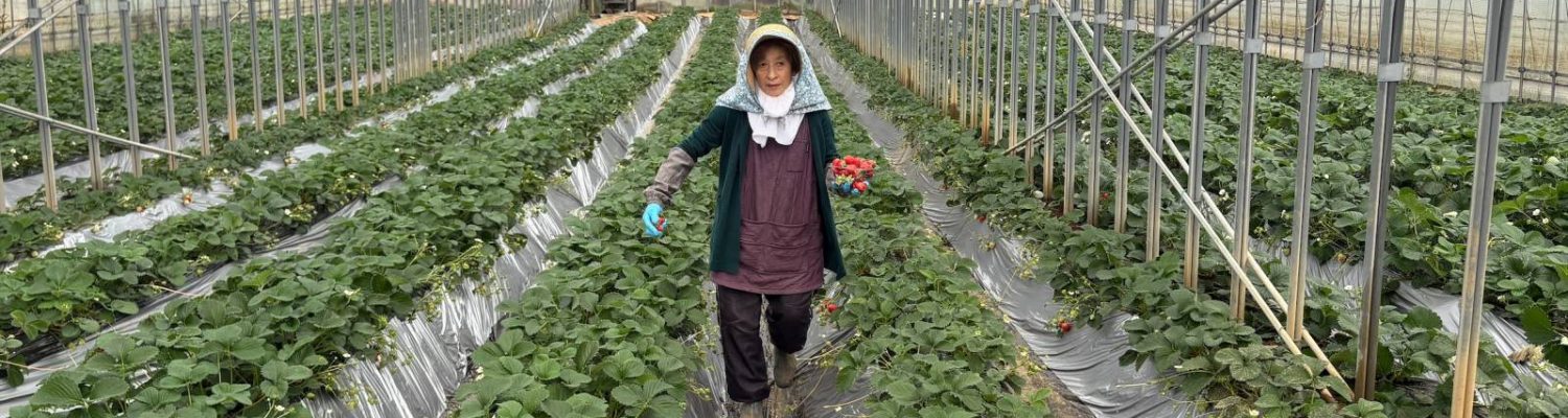 %e3%80%902-1-4-30%e3%80%91%e3%80%8c%e6%98%a5%e3%81%ae%e3%82%a2%e3%83%95%e3%82%bf%e3%83%8c%e3%83%bc%e3%83%b3%e3%83%86%e3%82%a3%e3%83%bc%e3%80%8d%e6%8f%90%e4%be%9b%e9%96%8b%e5%a7%8b