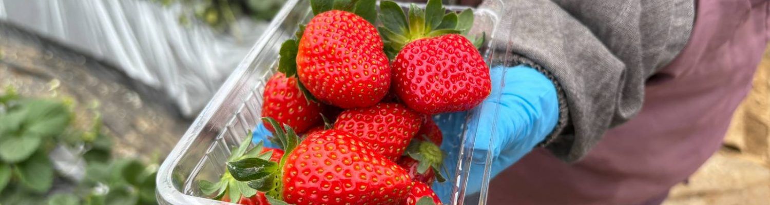 %e3%80%902-1-4-30%e3%80%91%e3%80%8c%e6%98%a5%e3%81%ae%e3%82%a2%e3%83%95%e3%82%bf%e3%83%8c%e3%83%bc%e3%83%b3%e3%83%86%e3%82%a3%e3%83%bc%e3%80%8d%e6%8f%90%e4%be%9b%e9%96%8b%e5%a7%8b