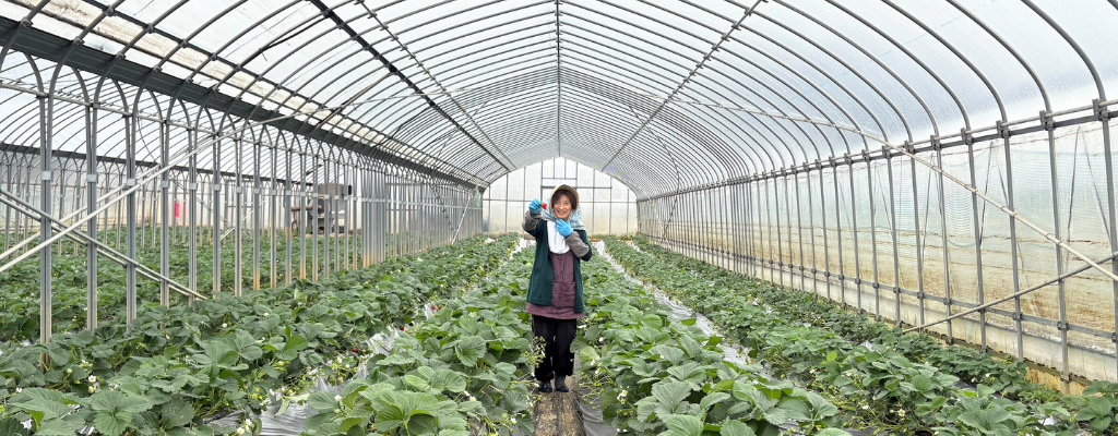 %e3%80%902-1-4-30%e3%80%91%e3%80%8c%e6%98%a5%e3%81%ae%e3%82%a2%e3%83%95%e3%82%bf%e3%83%8c%e3%83%bc%e3%83%b3%e3%83%86%e3%82%a3%e3%83%bc%e3%80%8d%e6%8f%90%e4%be%9b%e9%96%8b%e5%a7%8b