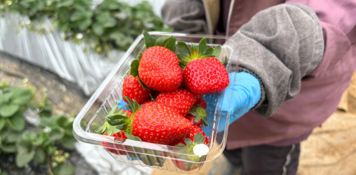 %e3%82%a2%e3%83%95%e3%82%bf%e3%83%8c%e3%83%bc%e3%83%b3%e3%83%86%e3%82%a3%e3%83%bc%e7%94%bb%e5%83%8f-6-2