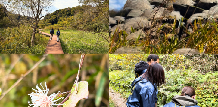 %e5%90%8d%e7%a7%b0%e6%9c%aa%e8%a8%ad%e5%ae%9a%e3%81%ae%e3%83%87%e3%82%b6%e3%82%a4%e3%83%b3-50-2